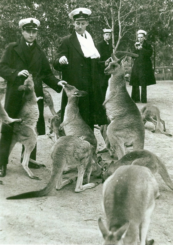 Supply Assistant Walpole with three kangaroos and three other unknown NZ sailors\n